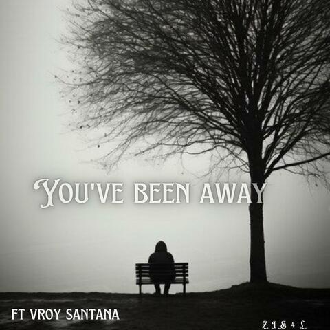 YOU'VE BEEN AWAY (feat. vroy santana)