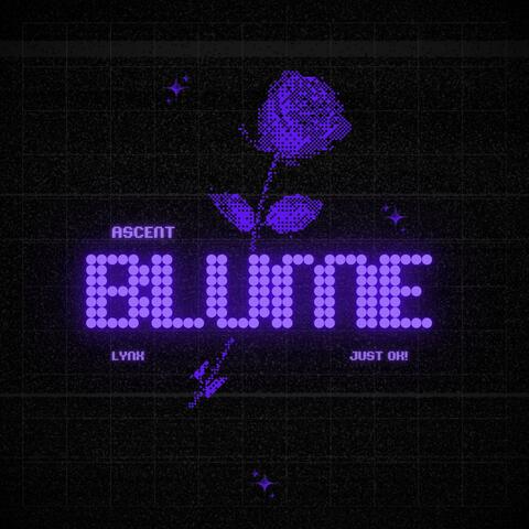 BLUME