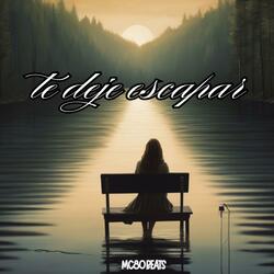 Te Dejé Escapar
