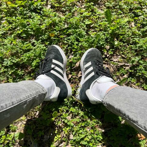 Sun day