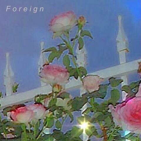 Foreign
