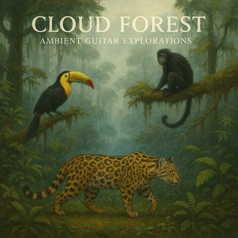 Cloud Forest