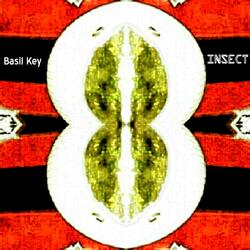 Insect