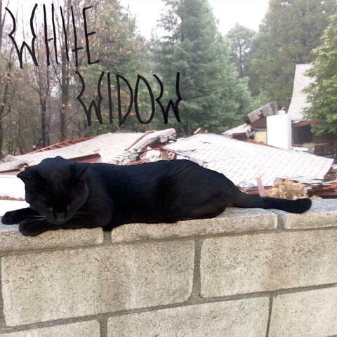 Absolutely Meaningless