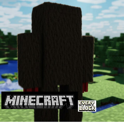 Minecraft Every Block