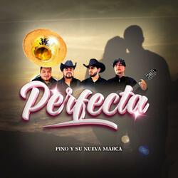 Perfecta