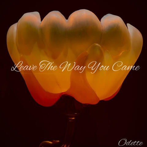 Leave the way you came