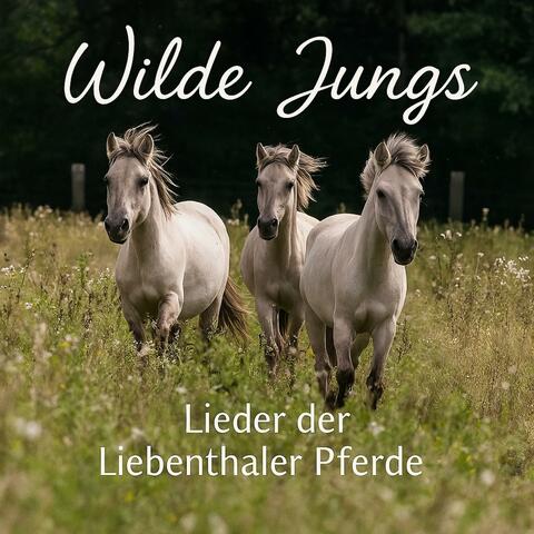 Wilde Jungs (Lieder der Liebenthaler Pferde)