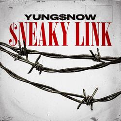 $neaky Link