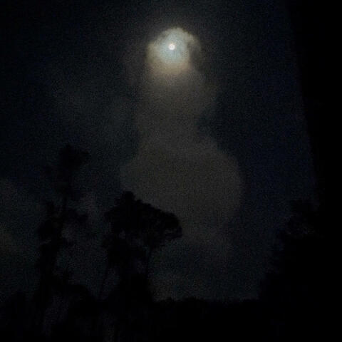 Night Is Cold