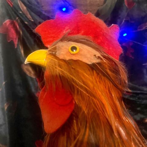Why does everything taste like chicken?