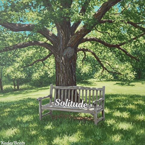 Solitude (Melodic Guitar R&B/Hip-hop Instrumental)