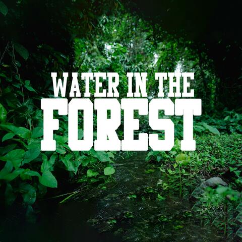 Water In The Forest