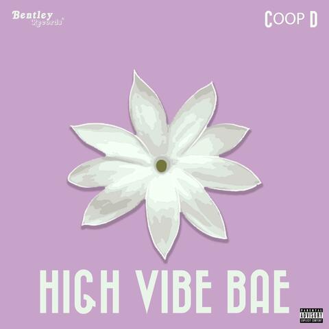 High Vibe Bae