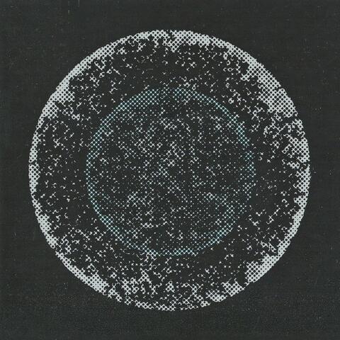 Volvox