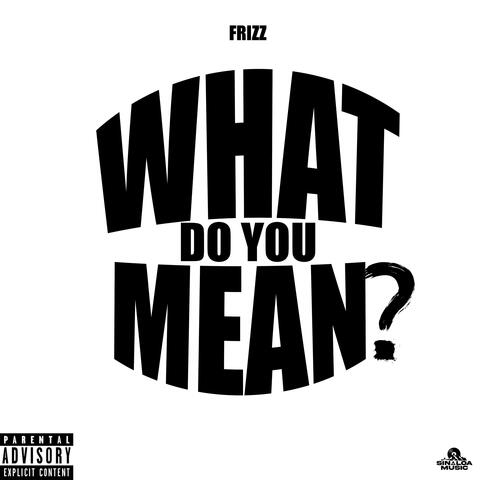 What Do You Mean?