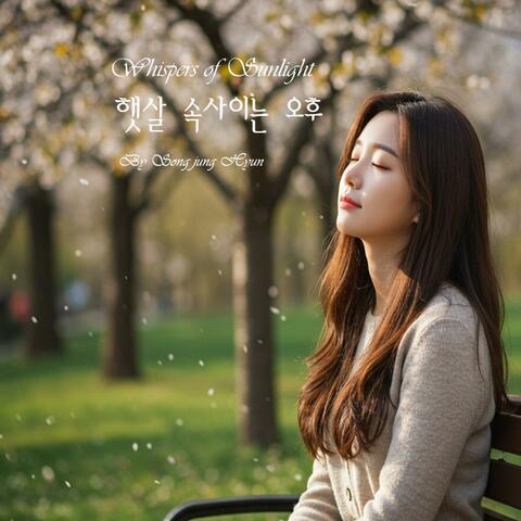 햇살 속사이는 오후