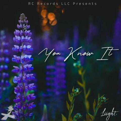 You Know It (feat. Quazi & Nadi Ray)