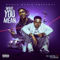 What You Mean