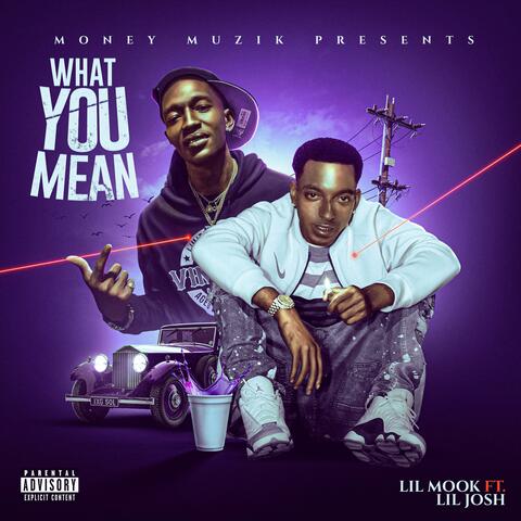 What You Mean