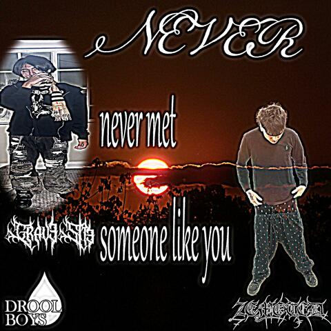 NEVER (feat. Zemoted)