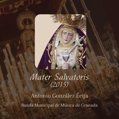 Mater Salvatoris (BMM Granada)