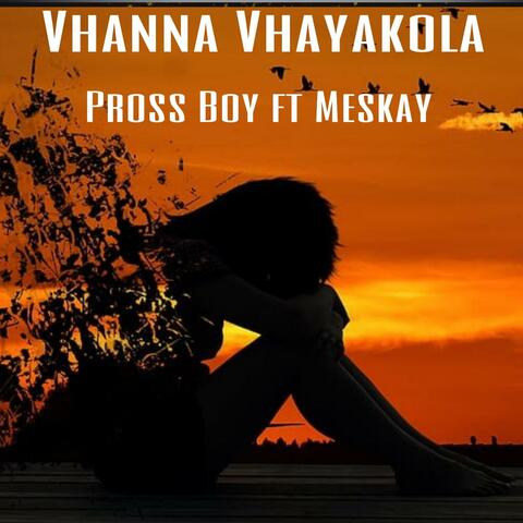 Pross Boy _Vhanna Vhayakola (feat. Meskay)