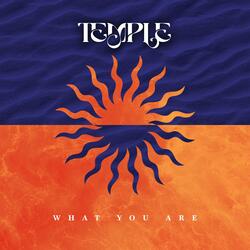 What You Are