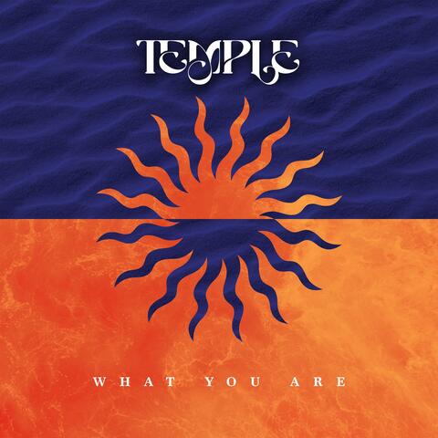 What You Are