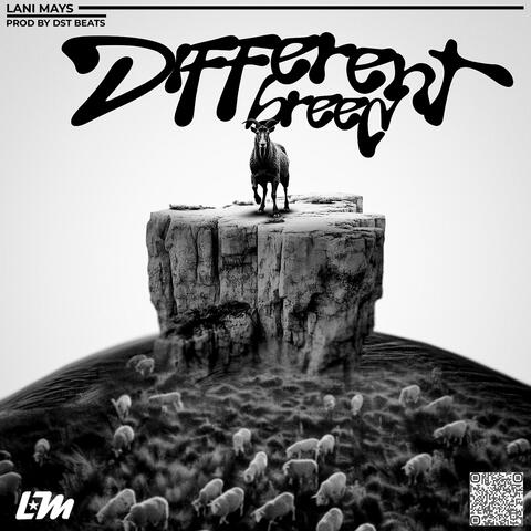 Different Breed
