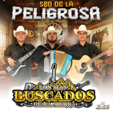 Sed De La Peligrosa