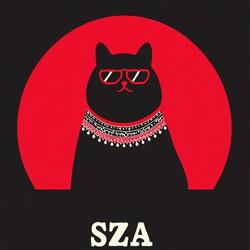 SZA (Solar Zenith Angle)