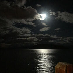 moonlight