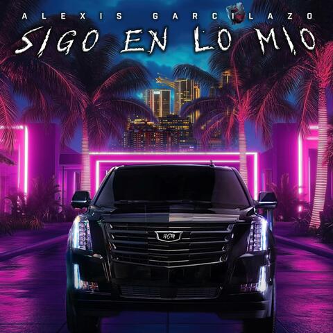 Sigo En Lo Mio