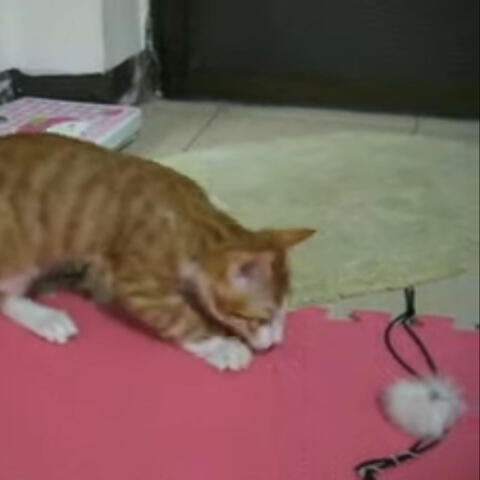 i've got way too much to lose this time