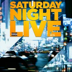 SNL (FAMILY GET TOGETHERS)