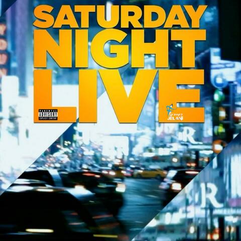 SNL (FAMILY GET TOGETHERS)