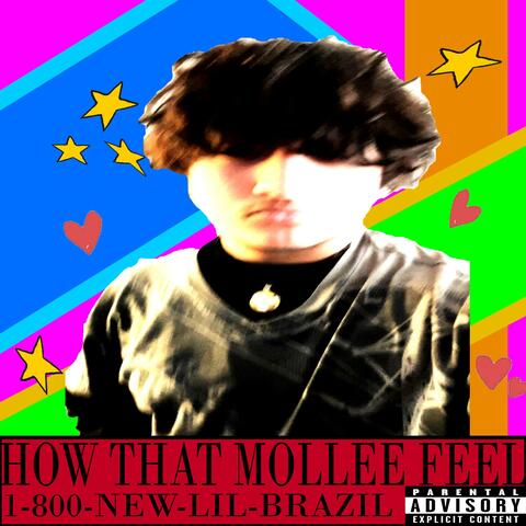 MOLLEE