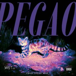 PEGAO