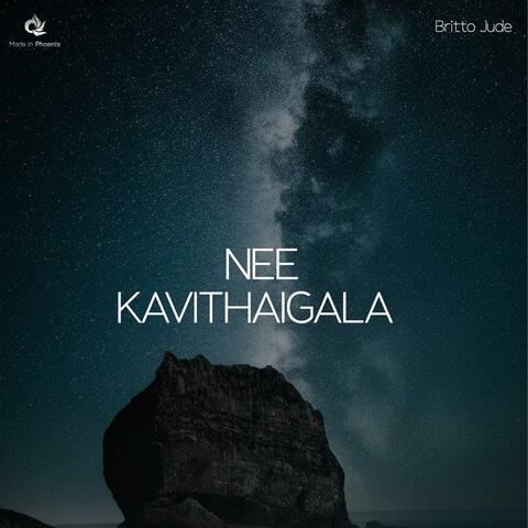 Nee Kavithaigala (Piano Version)