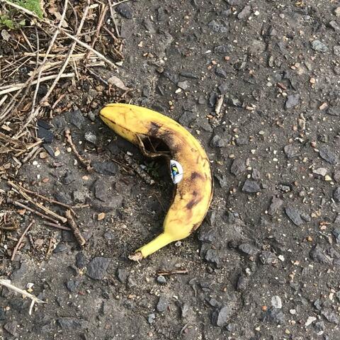 banana time