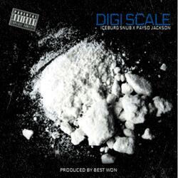 DIGI SCALE