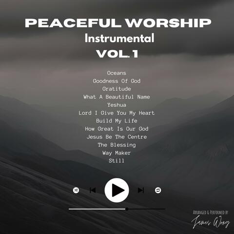 Peaceful Worship Instrumental (VOL 1)