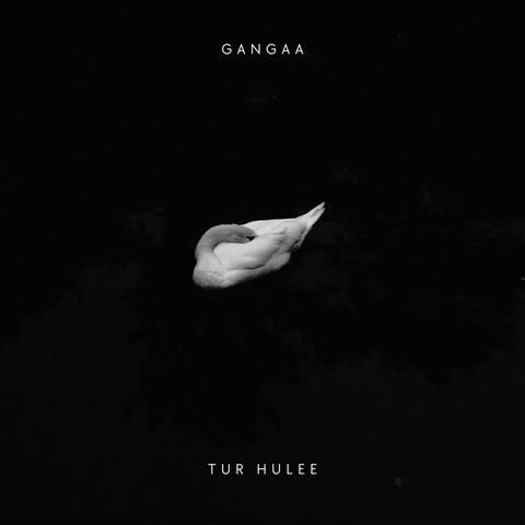Tur Hulee