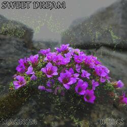 Sweet Dream