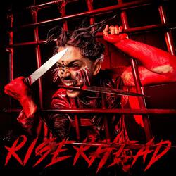 RISERHEAD