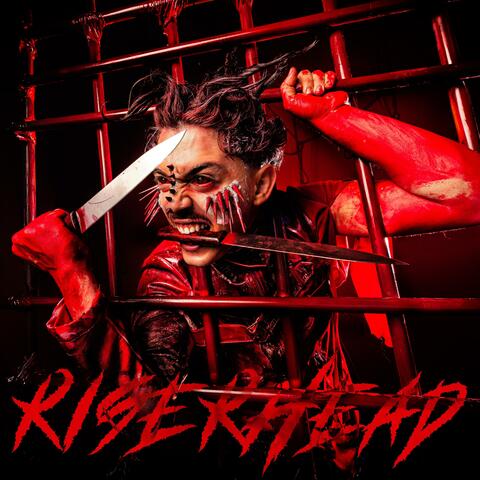 RISERHEAD