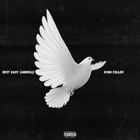 Rest Easy (Andrea)