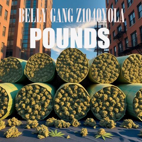 POUNDS