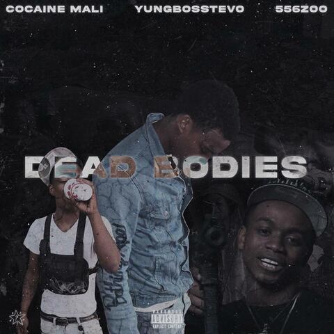 Dead Bodies (feat. YBT & 556zoo)
